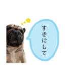 フレンチブルドッグやまとの日常（個別スタンプ：31）