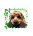 しんじのつぶやき（個別スタンプ：3）