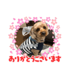 しんじのつぶやき（個別スタンプ：4）