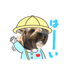 しんじのつぶやき（個別スタンプ：8）
