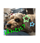 しんじのつぶやき（個別スタンプ：11）
