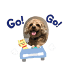 しんじのつぶやき（個別スタンプ：17）