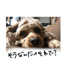 しんじのつぶやき（個別スタンプ：21）