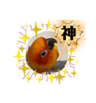 うちのメラさん（個別スタンプ：22）