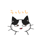 うしねこ 01（個別スタンプ：19）