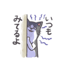 かわいいハチワレネコチャン（個別スタンプ：1）