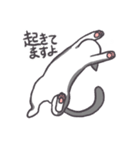 かわいいハチワレネコチャン（個別スタンプ：3）