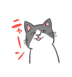 かわいいハチワレネコチャン（個別スタンプ：8）