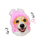 コーギー のイヴくん①(大きめ)（個別スタンプ：27）