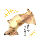 コーギー のイヴくん①(大きめ)（個別スタンプ：36）