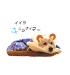 コーギー のイヴくん①(大きめ)（個別スタンプ：40）