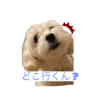 ベルくんの気持ち（個別スタンプ：1）