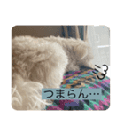 ベルくんの気持ち（個別スタンプ：4）