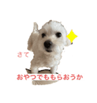 ベルくんの気持ち（個別スタンプ：6）