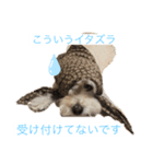 ベルくんの気持ち（個別スタンプ：7）