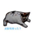横山家のお猫様（個別スタンプ：2）