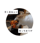 横山家のお猫様（個別スタンプ：29）