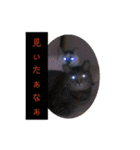 横山家のお猫様（個別スタンプ：38）