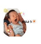 はるbaby1（個別スタンプ：17）