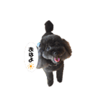 らっきいくん（個別スタンプ：1）