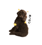 らっきいくん（個別スタンプ：3）
