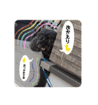らっきいくん（個別スタンプ：6）
