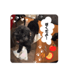 らっきいくん（個別スタンプ：7）