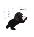 らっきいくん（個別スタンプ：12）