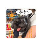 らっきいくん（個別スタンプ：19）