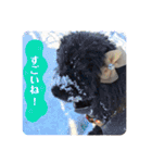 らっきいくん（個別スタンプ：22）