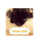 らっきいくん（個別スタンプ：27）