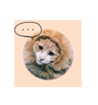 でんの日常。（個別スタンプ：2）