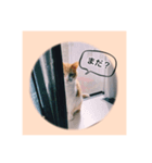 でんの日常。（個別スタンプ：3）