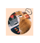 でんの日常。（個別スタンプ：6）