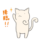 ねことぱんだのお散歩日和（個別スタンプ：36）