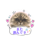 かわいい♡猫♡（個別スタンプ：7）