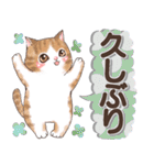 癒しの猫スタンプ デカ文字編（個別スタンプ：10）