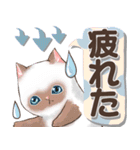 癒しの猫スタンプ デカ文字編（個別スタンプ：14）