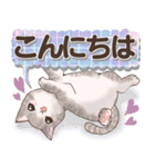 癒しの猫スタンプ デカ文字編（個別スタンプ：27）