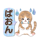 癒しの猫スタンプ デカ文字編（個別スタンプ：28）