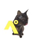 黒猫のくーちゃんとはなちゃんシリーズ4（個別スタンプ：1）