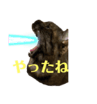 黒猫のくーちゃんとはなちゃんシリーズ4（個別スタンプ：15）
