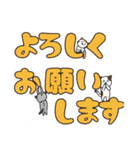 みかんニャンデカ文字挨拶（個別スタンプ：6）