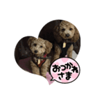 モコとトフィー2（個別スタンプ：2）