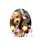 モコとトフィー2（個別スタンプ：3）