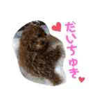 トイプーのるうちゃん（個別スタンプ：1）