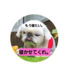 ひろこんぶスタンピ（個別スタンプ：2）
