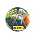 ひろこんぶスタンピ（個別スタンプ：3）