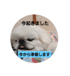 ひろこんぶスタンピ（個別スタンプ：12）