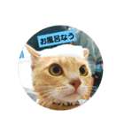 ひろこんぶスタンピ（個別スタンプ：15）